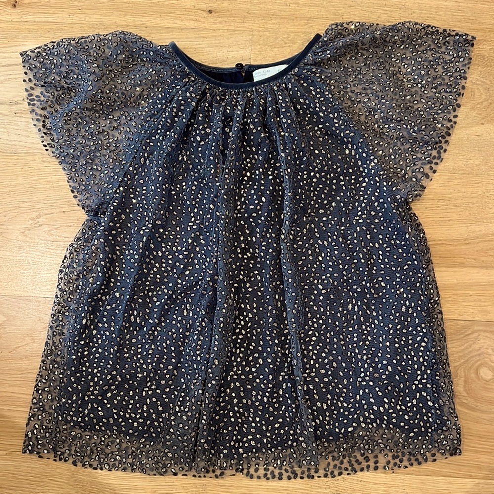 Zara gold sparkle top